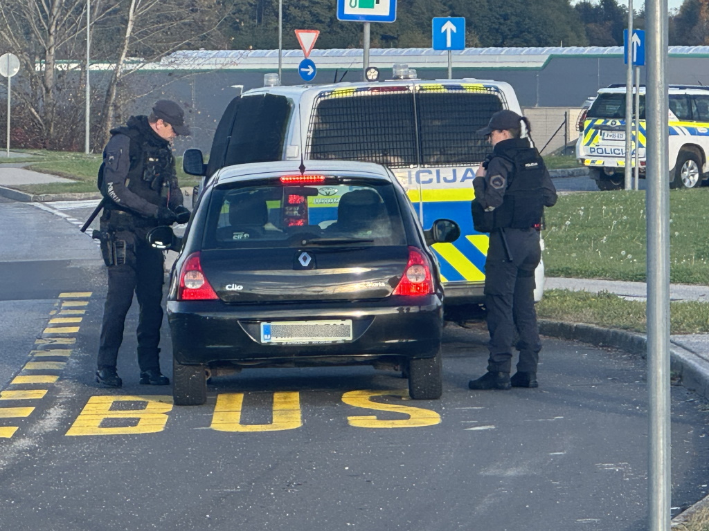 FOTO: Od hišnih preiskav do patruljiranja, v Novem mestu okrepljene sile policije