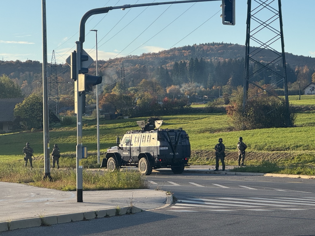 FOTO: Od hišnih preiskav do patruljiranja, v Novem mestu okrepljene sile policije