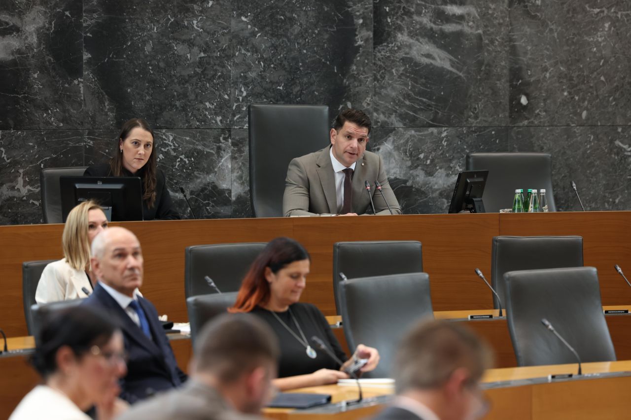 Grošelj ostro nad Stevanovića in Janševo vlado: »Tonemo vse globlje in globlje!«