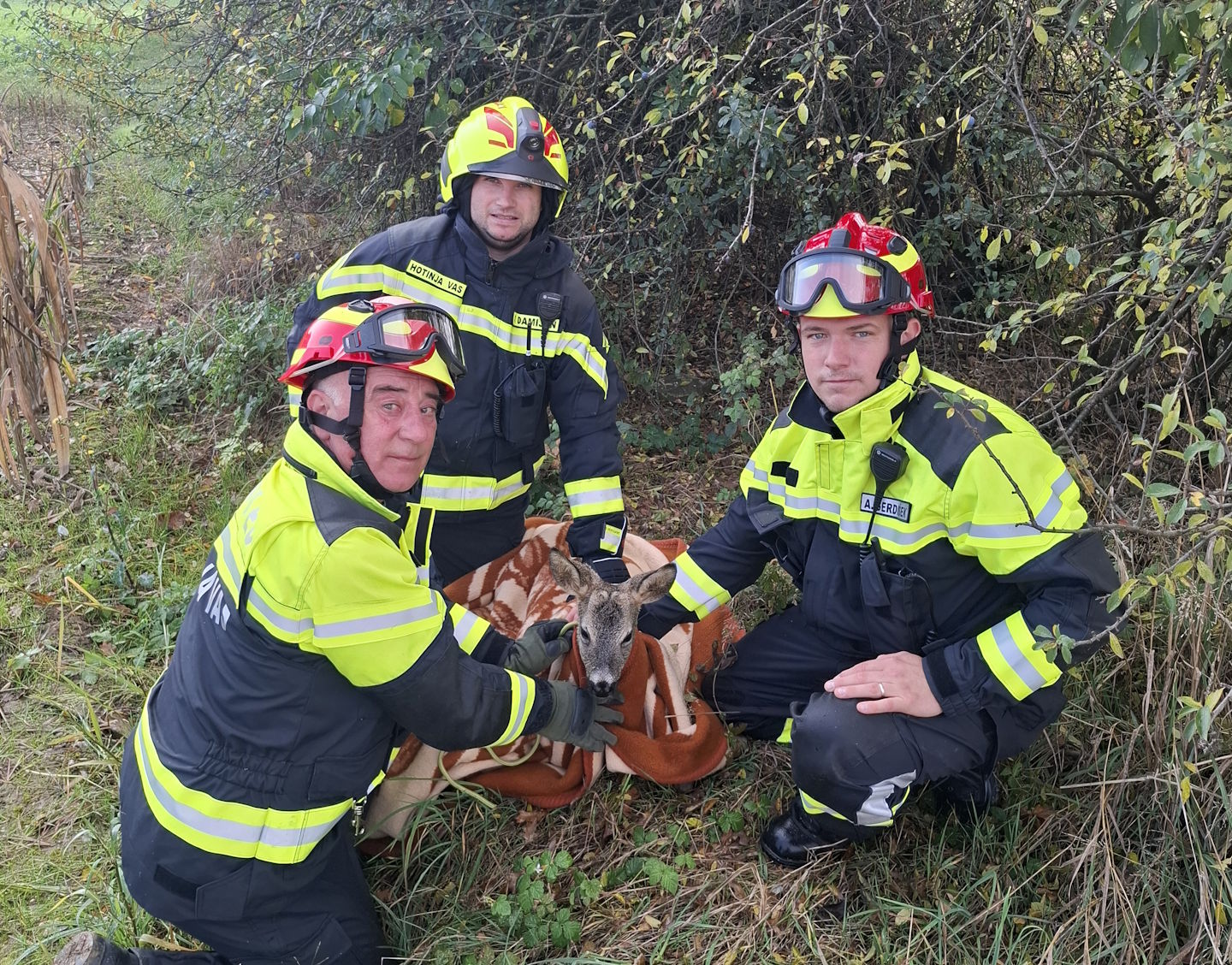 FOTO: Srčni gasilci v okolici Maribora rešili srnjaka iz zaraščene čistilne naprave
