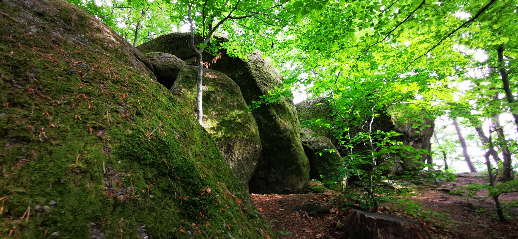V okolici Maribora je hudič pozabil prav posebne skale