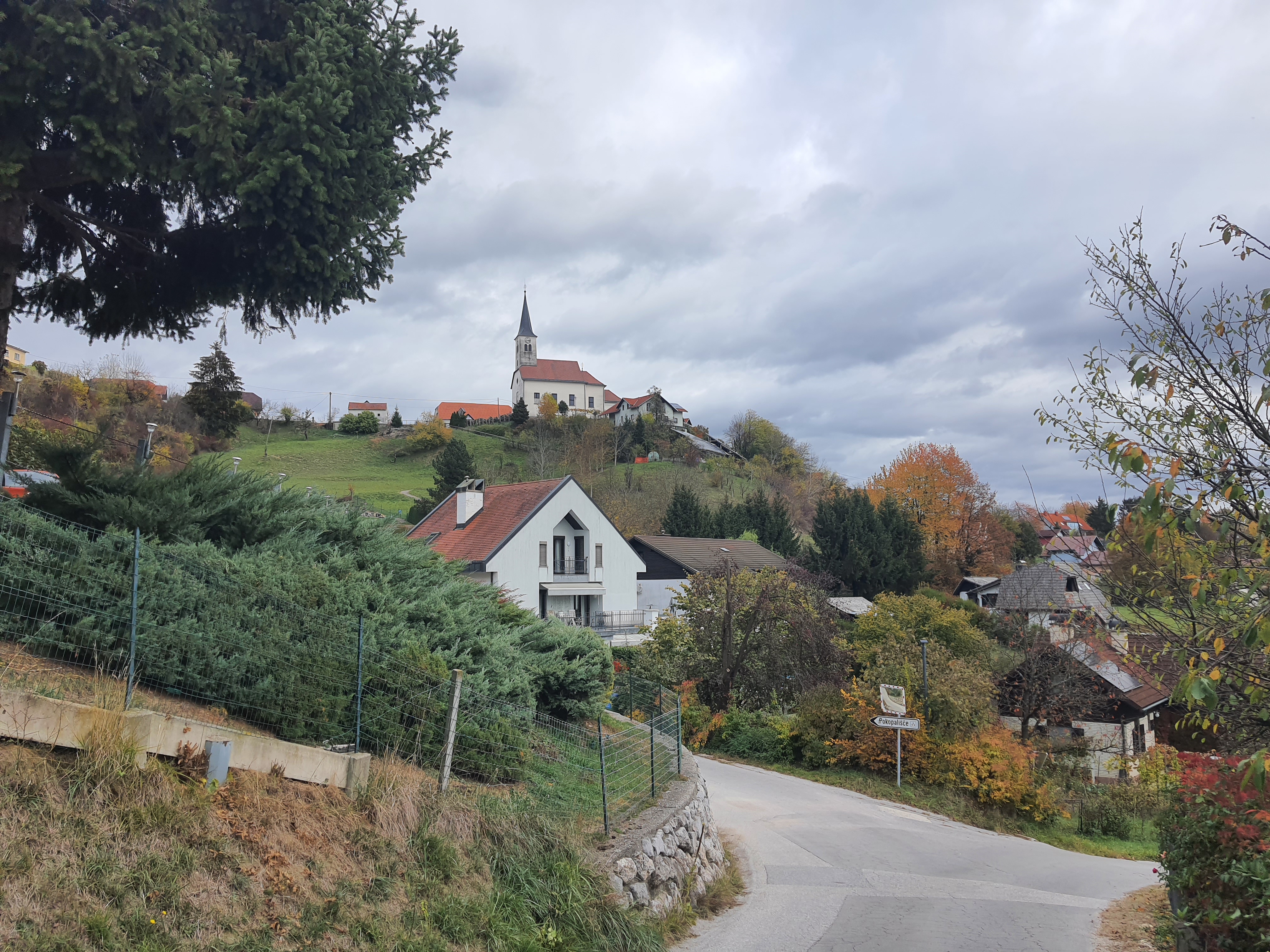 V Spodnji Kungoti bodo društva stopila skupaj in zasadila sadni gaj
