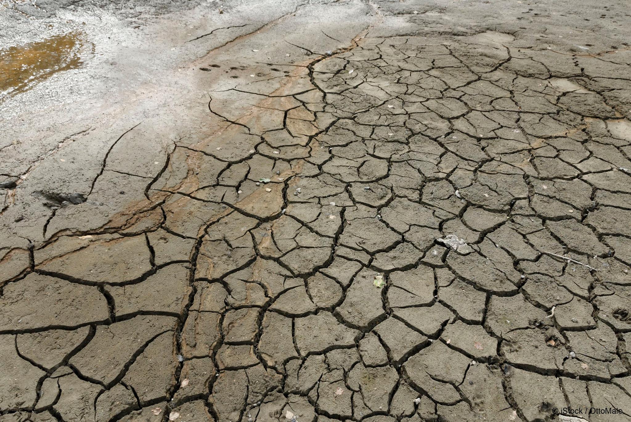 Partes de Espanha e Portugal enfrentam a pior seca dos últimos milhares de anos