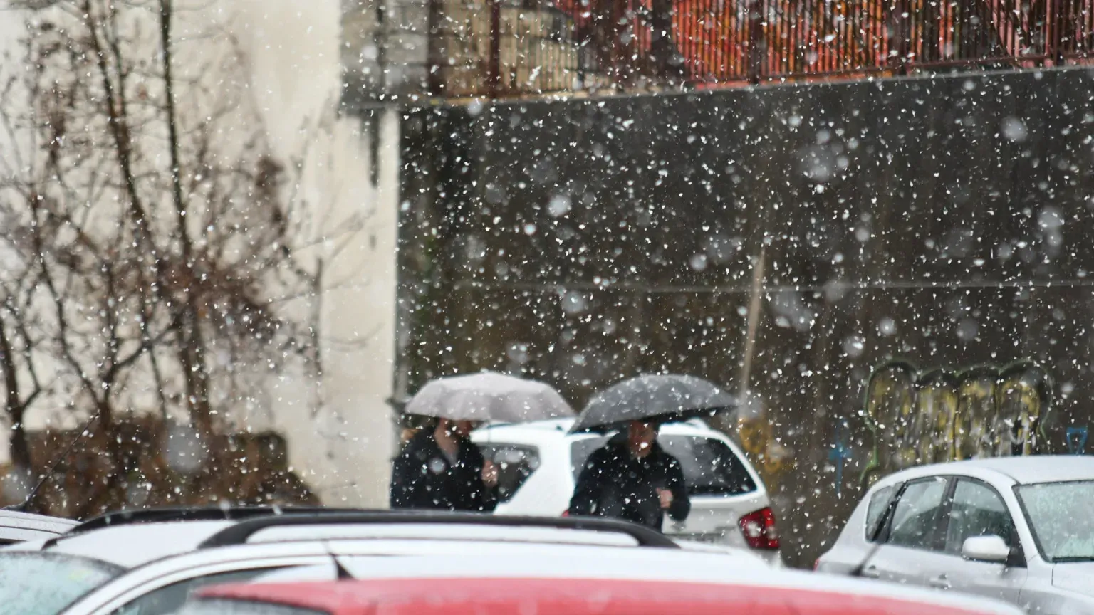 Meteorologi: Naslednji teden sneg do nižin, nato otoplitev, maja pa spet mrzlo?
