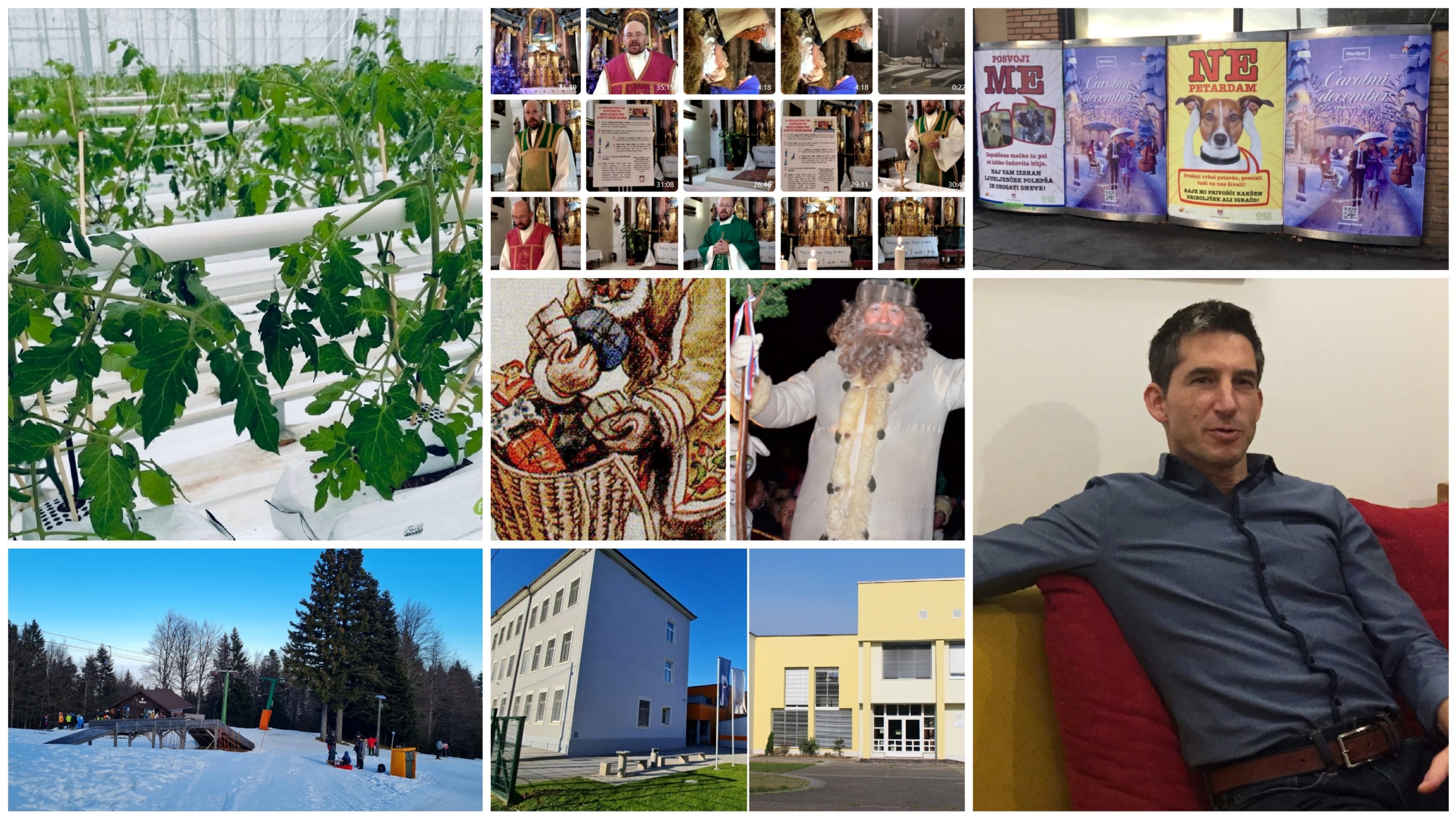 PREGLED TEDNA: Od paradižnikov pozimi do zaščitenega Dedka Mraza