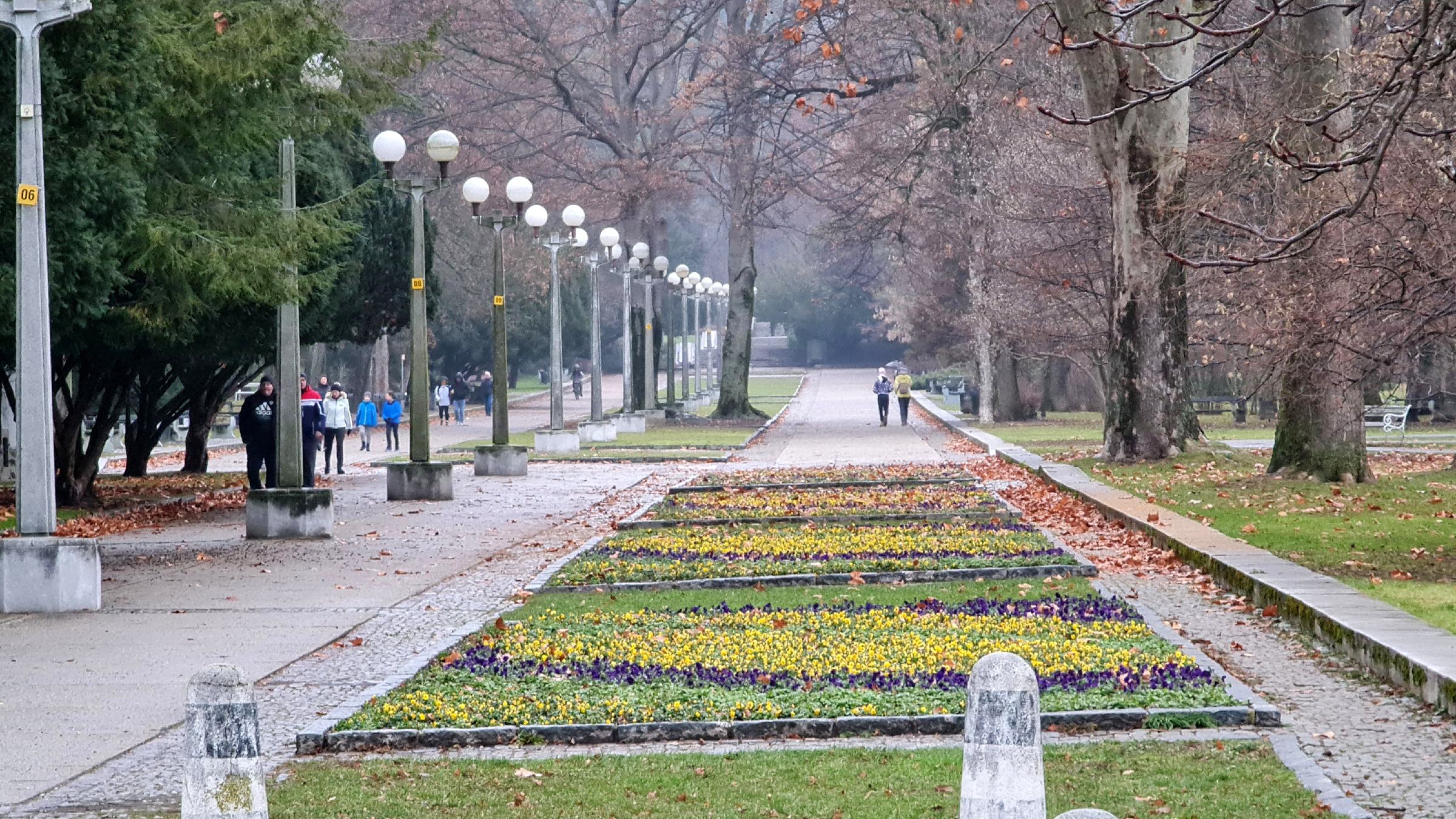 V Mariboru bodo z evropskimi sredstvi obnavljali promenado v mestnem parku