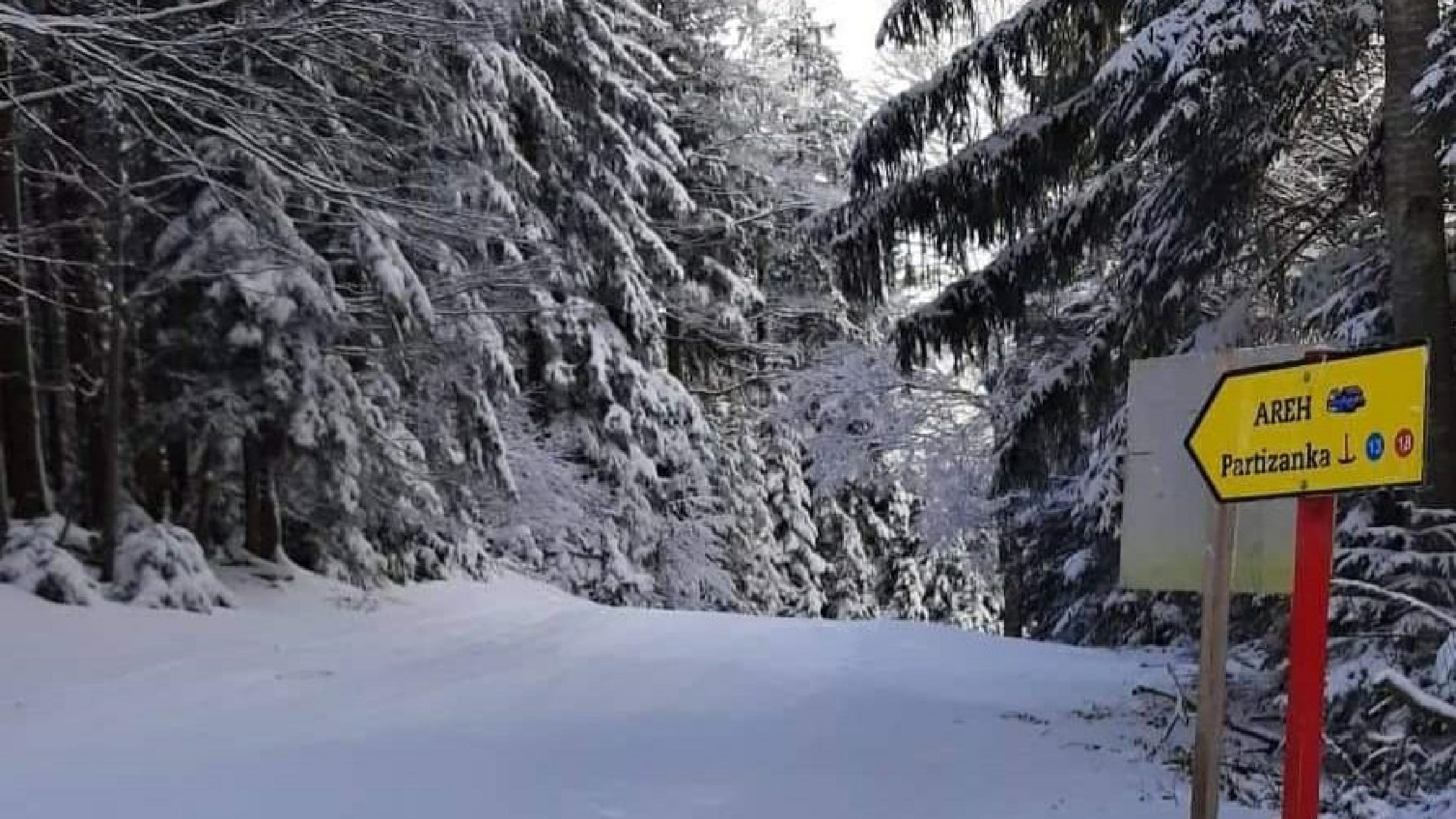 Z Bellevueja na Areh na smučeh ali z avtobusom