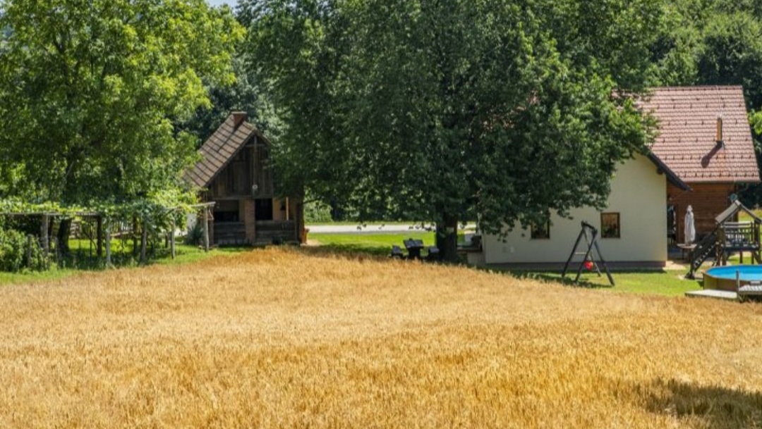 Razpisanih 15,4 milijona evrov za male kmetije