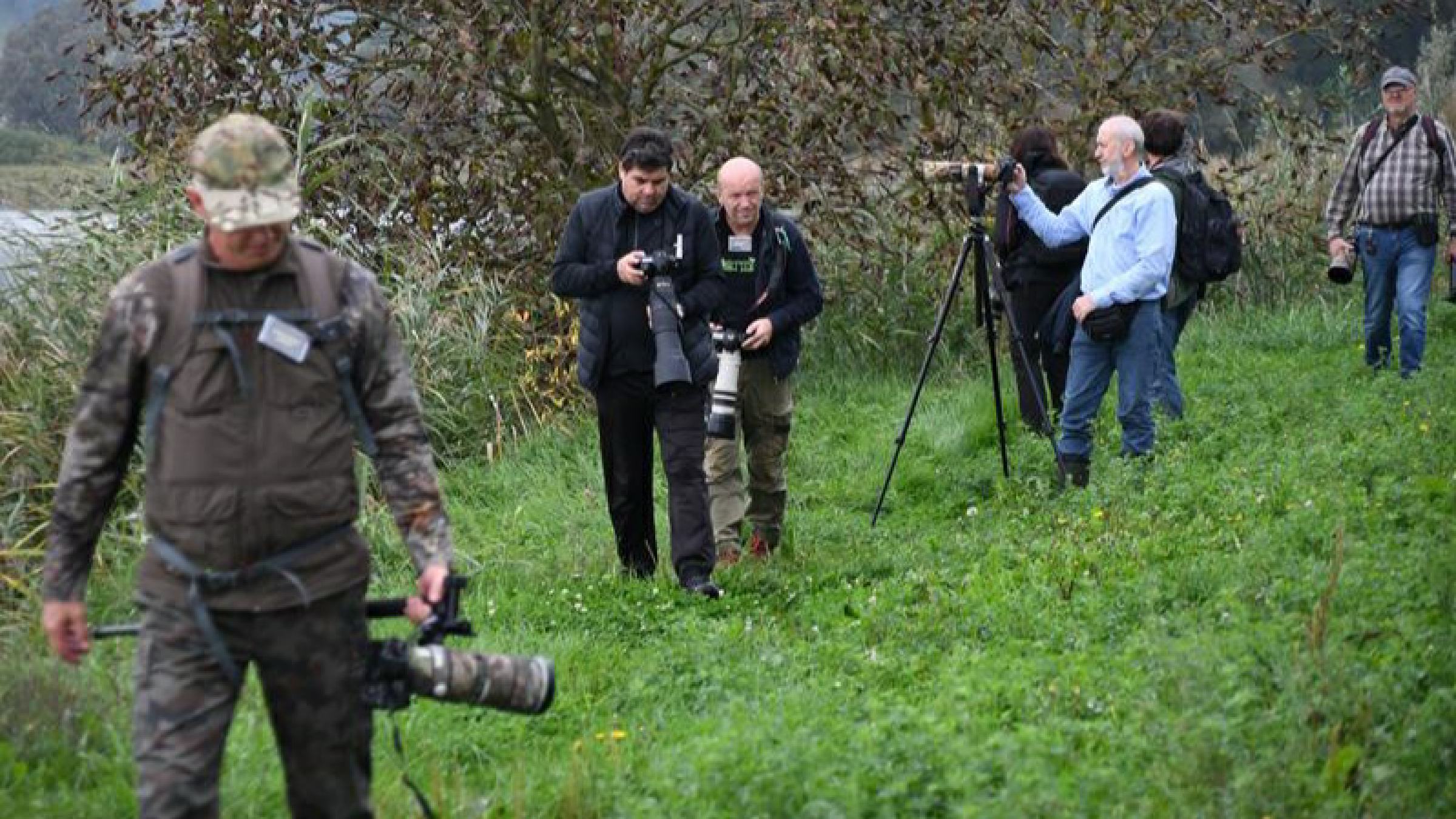 FOTO: V Jarenini so se srečali slovenski fotografi ptic