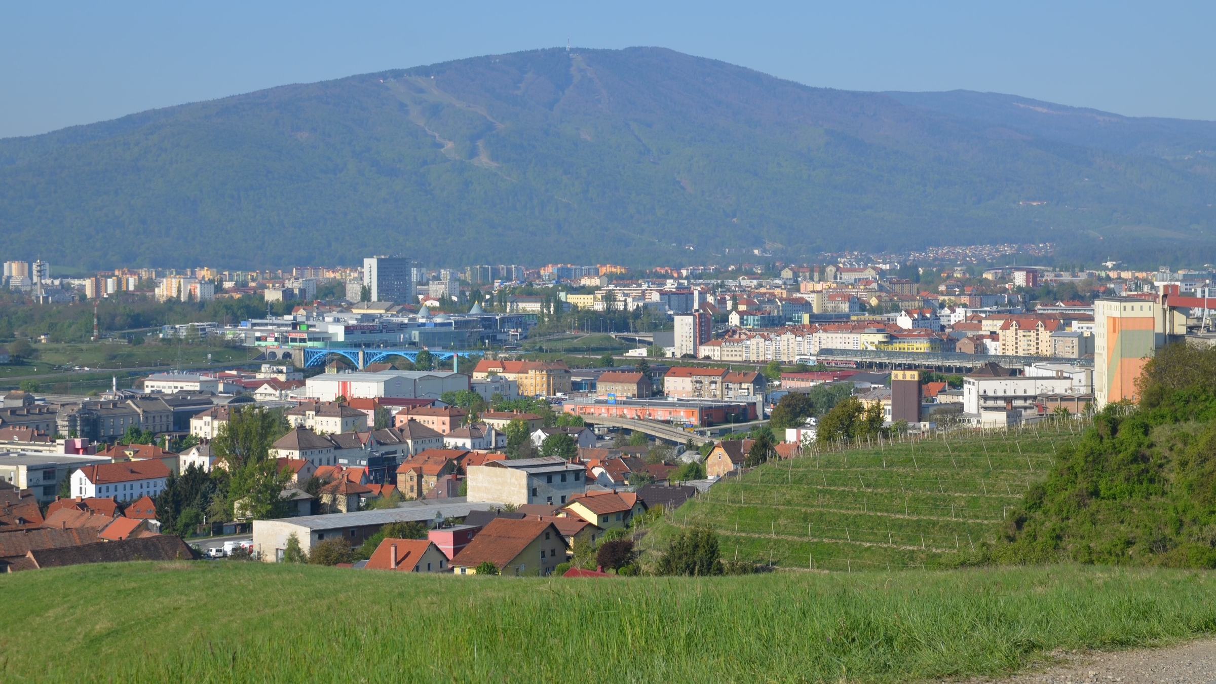 Utrip podpore MB županskim kandidatom: Novinca v anketi premešala karte