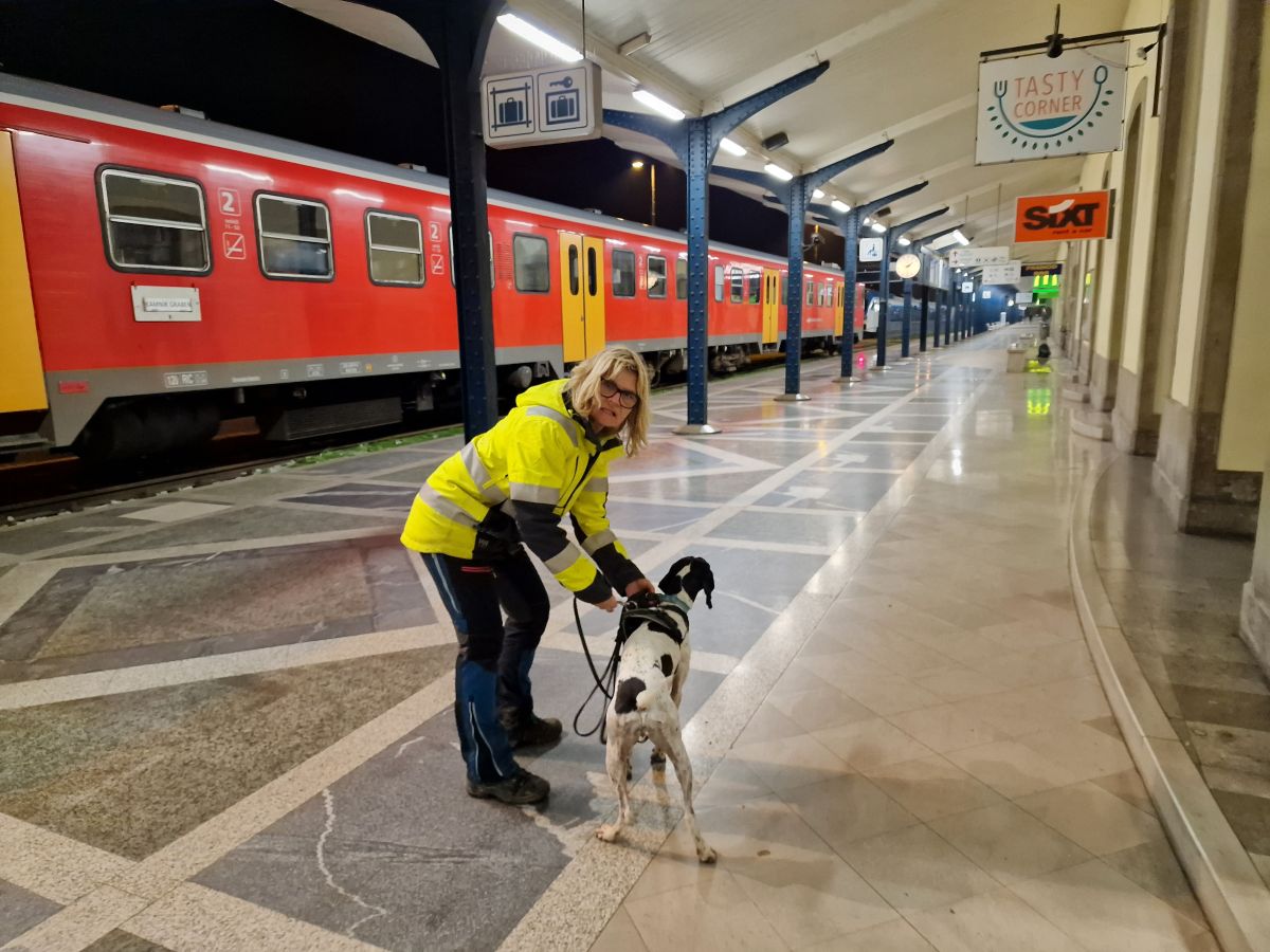 Vse se je začelo z izgubljeno psičko: "Do danes smo domov pripeljali okoli štiristo živali, pa vseh se spomnim"