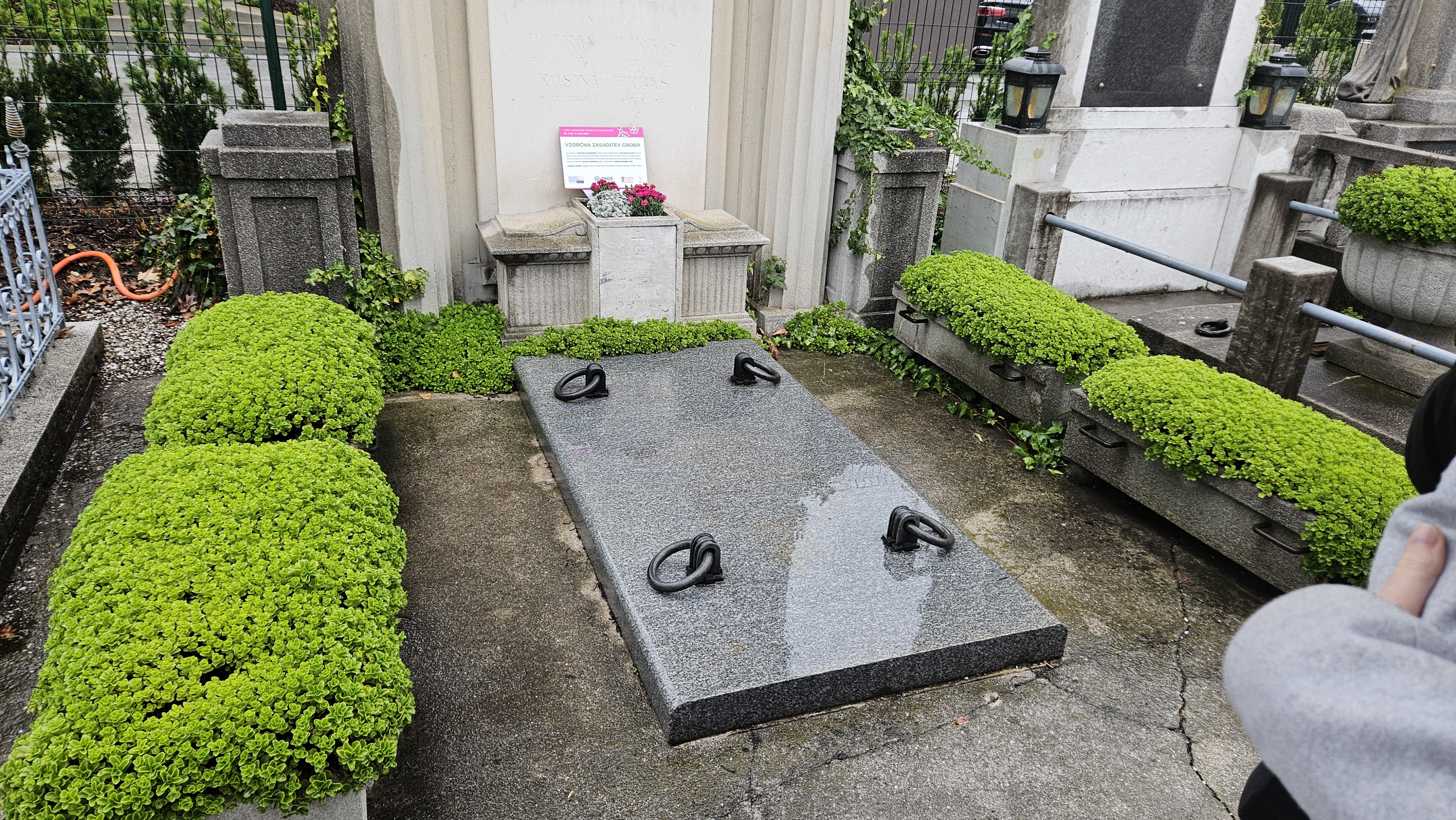 Pokopališča prihodnosti: Digitalni spomini in drevesa namesto nagrobnih spomenikov?