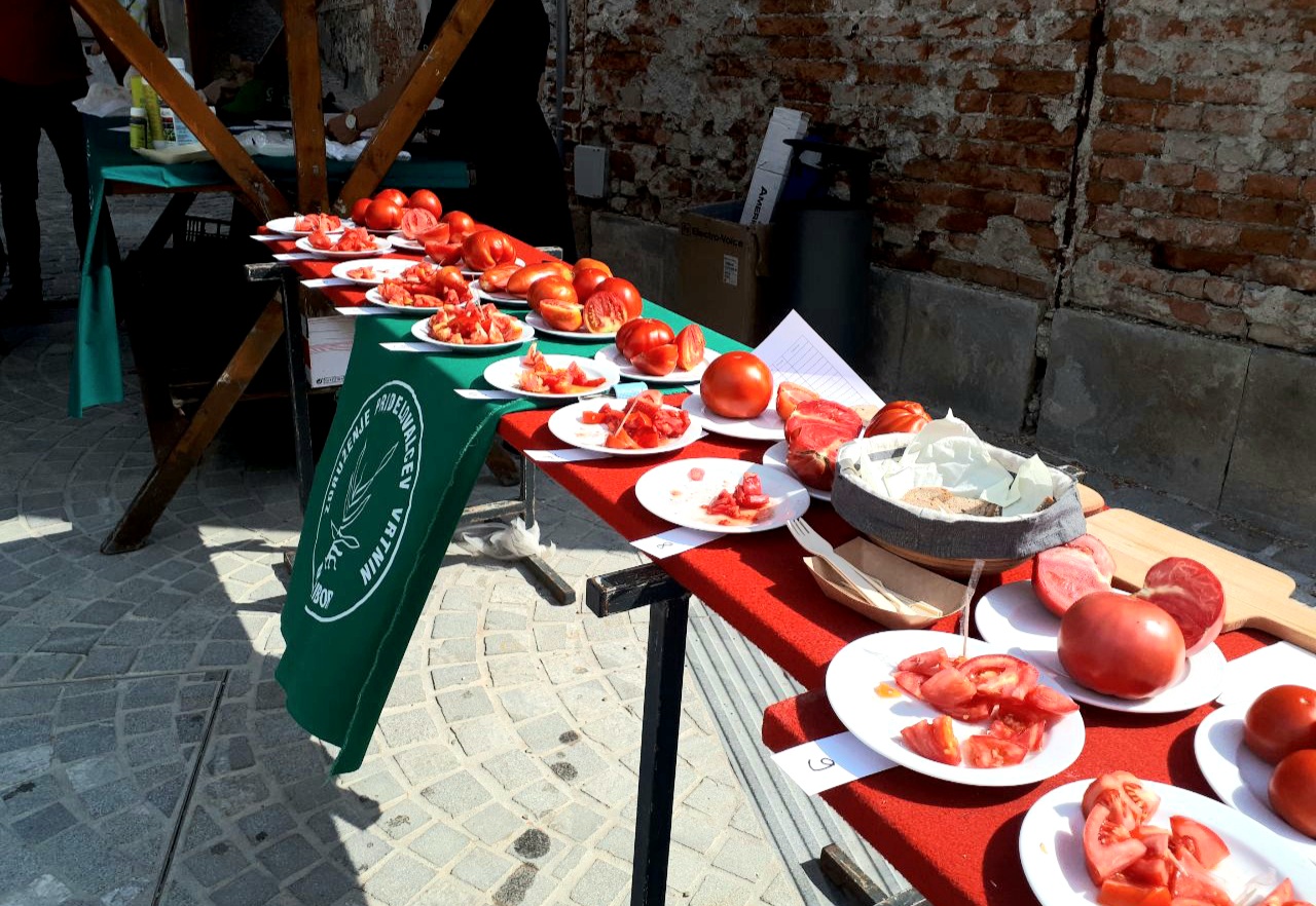 Pridružite se tekmovanju za najboljši in najtežji paradižnik v Mariboru