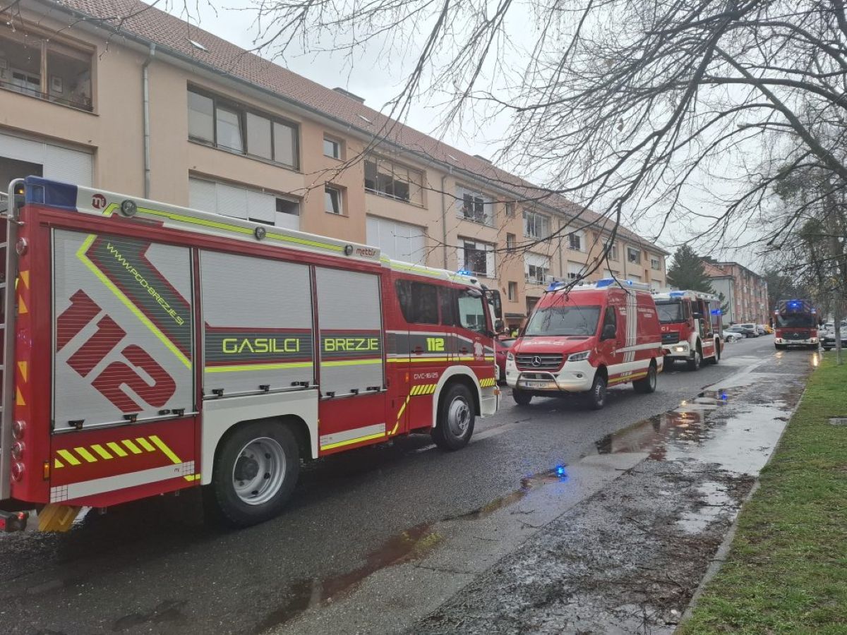 FOTO: V požaru na Teznu opečena stanovalka, rešil jih je gasilni aparat