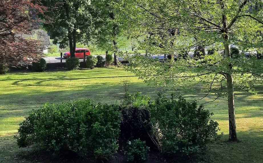 Brez prizadevnih domačinov bi viltuški grajski park doletela ista usoda kot dvorec