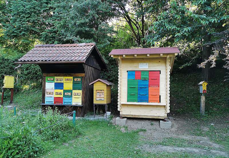 Zakaj je lovrenško čebelarjenje biološko in edinstveno?