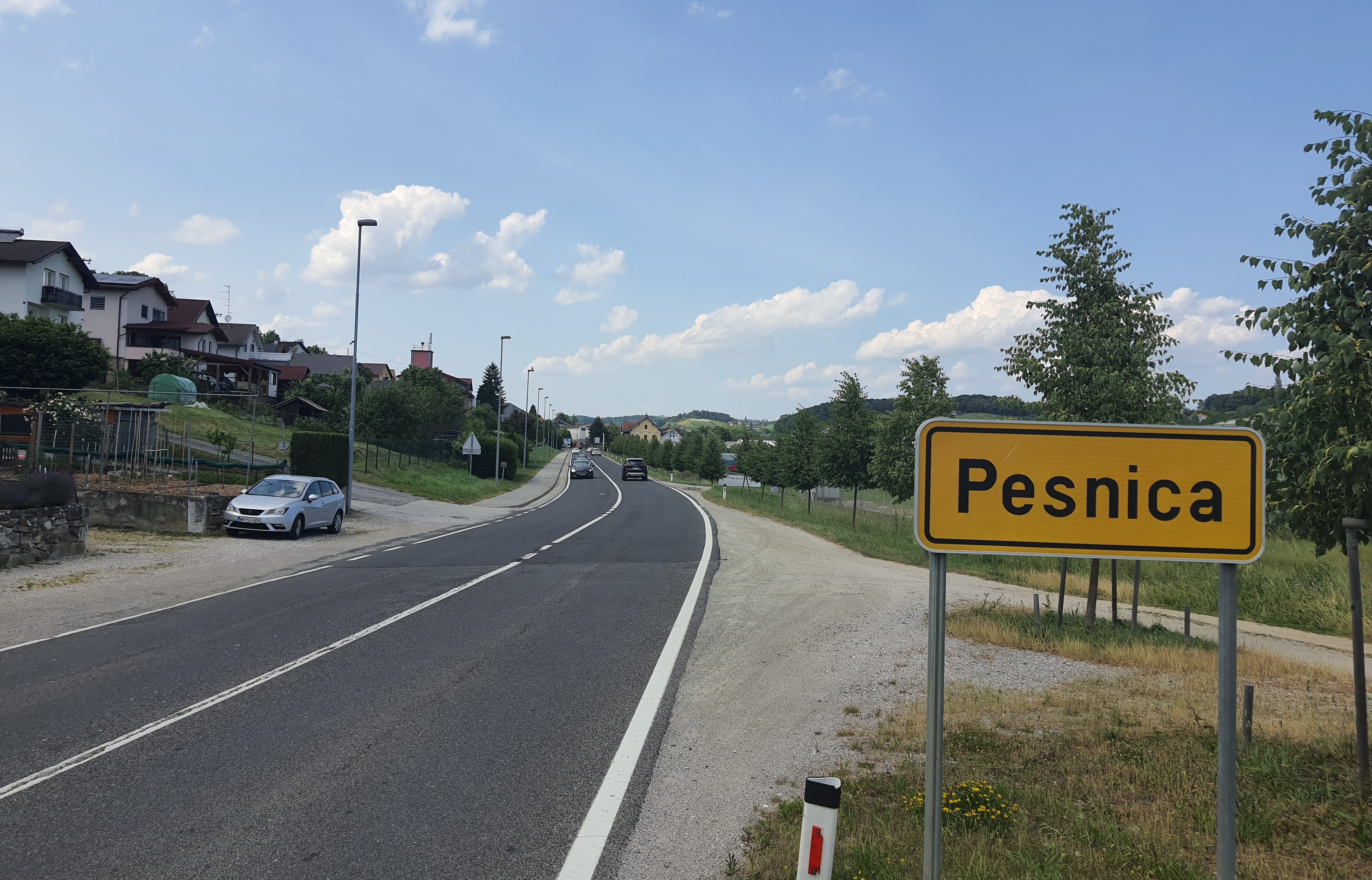 Poletje v Pesnici 2025: Na oder prihajajo Alfi Nipič, Kingstoni in Zadetek