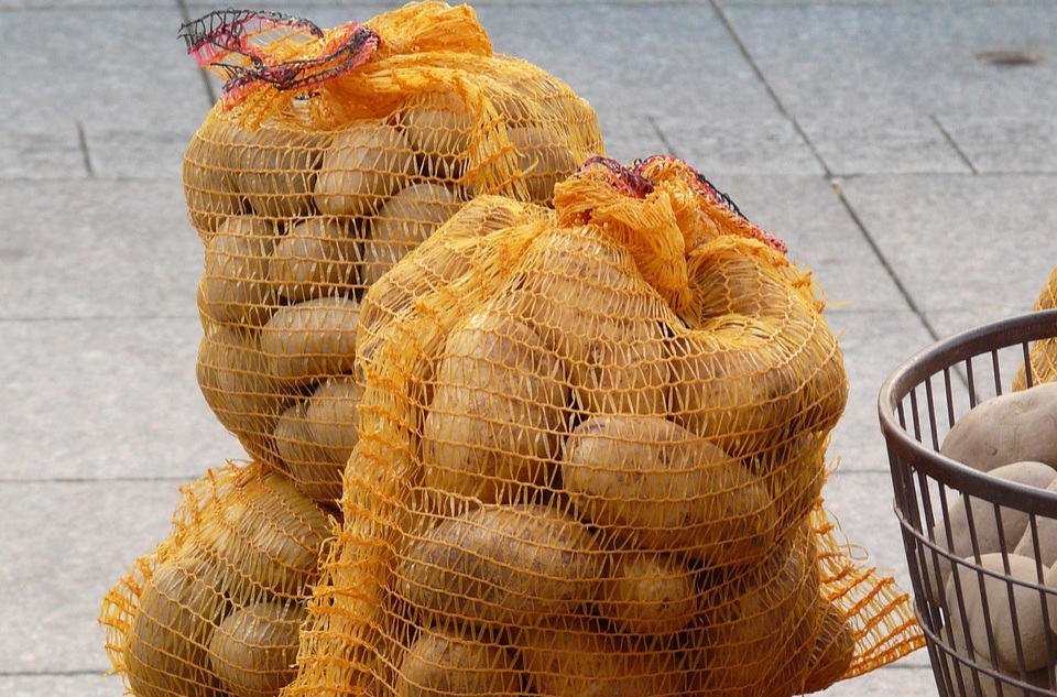 Zakaj je letos v trgovinah toliko krompirja iz tujine? Svojo izkušnjo je z nami delil eden večjih pridelovalcev