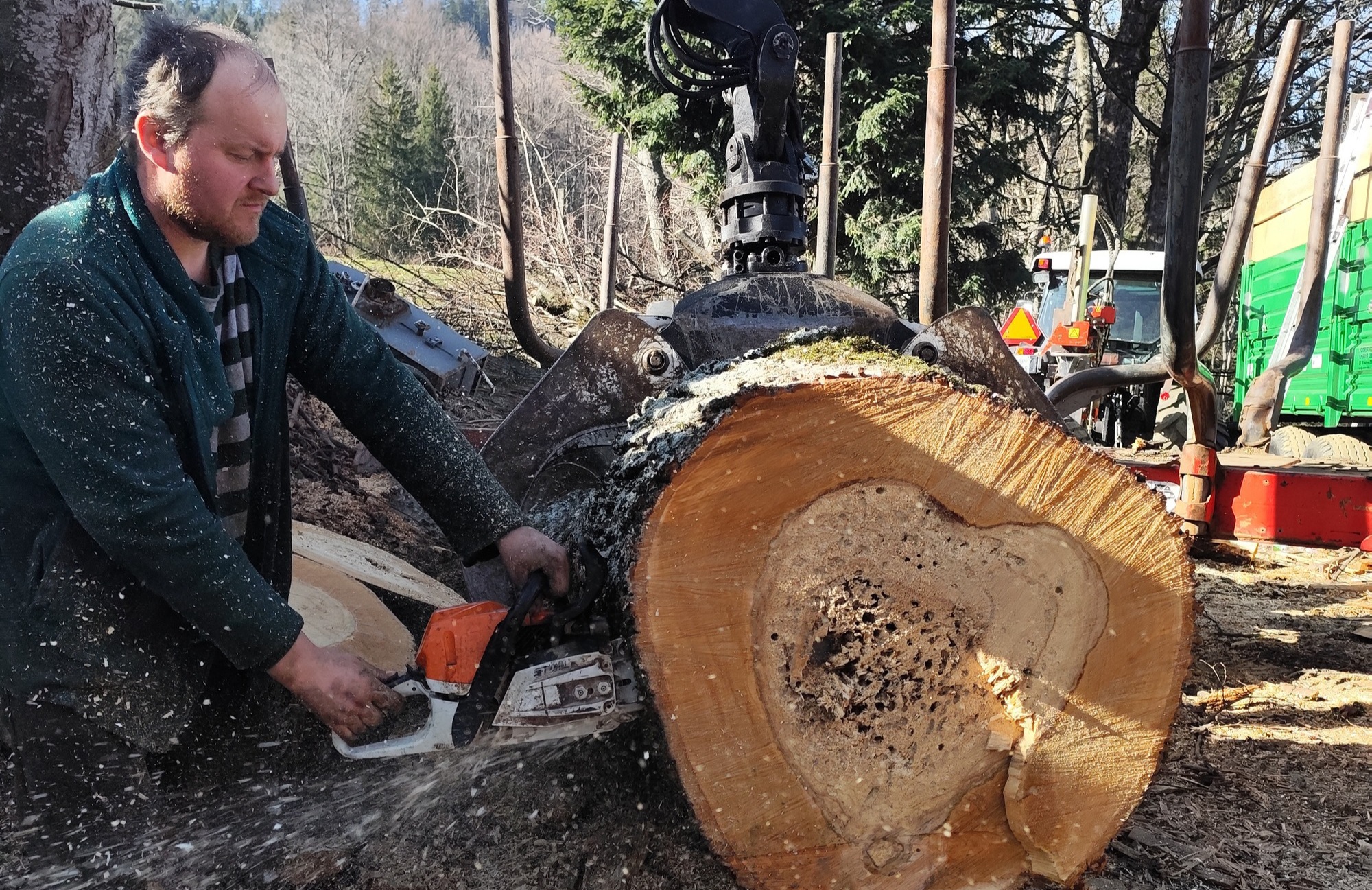 Mihael Grizold z najvišje kmetije na Smolniku je najbolj skrben lastnik gozda: Pripada že osmi generaciji družine