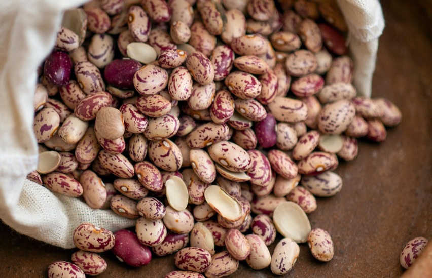 Lastna pridelava semen v porastu: Miša Pušenjak v ponedeljek o fižolu, grahu in bobu