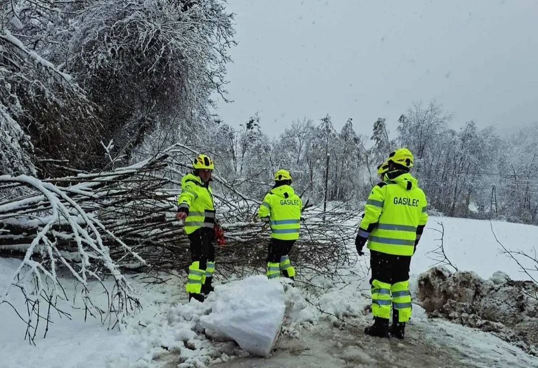 Težek sneg lomi drevje v Pesnici, Šentilju, Kungoti, na Sveti Ani ..., v Lovrencu debela snežna odeja