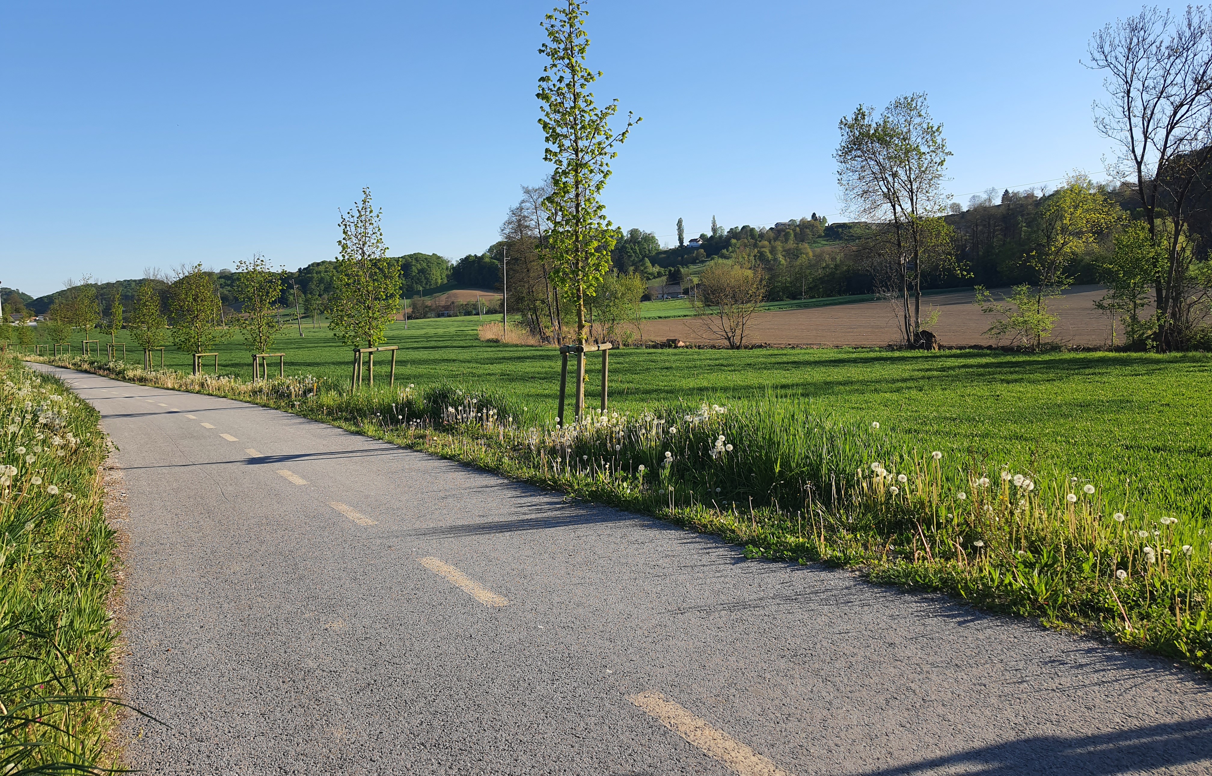 Sveta Ana pridobila milijon za kolesarko: »Navezujemo se proti meji z Avstrijo«