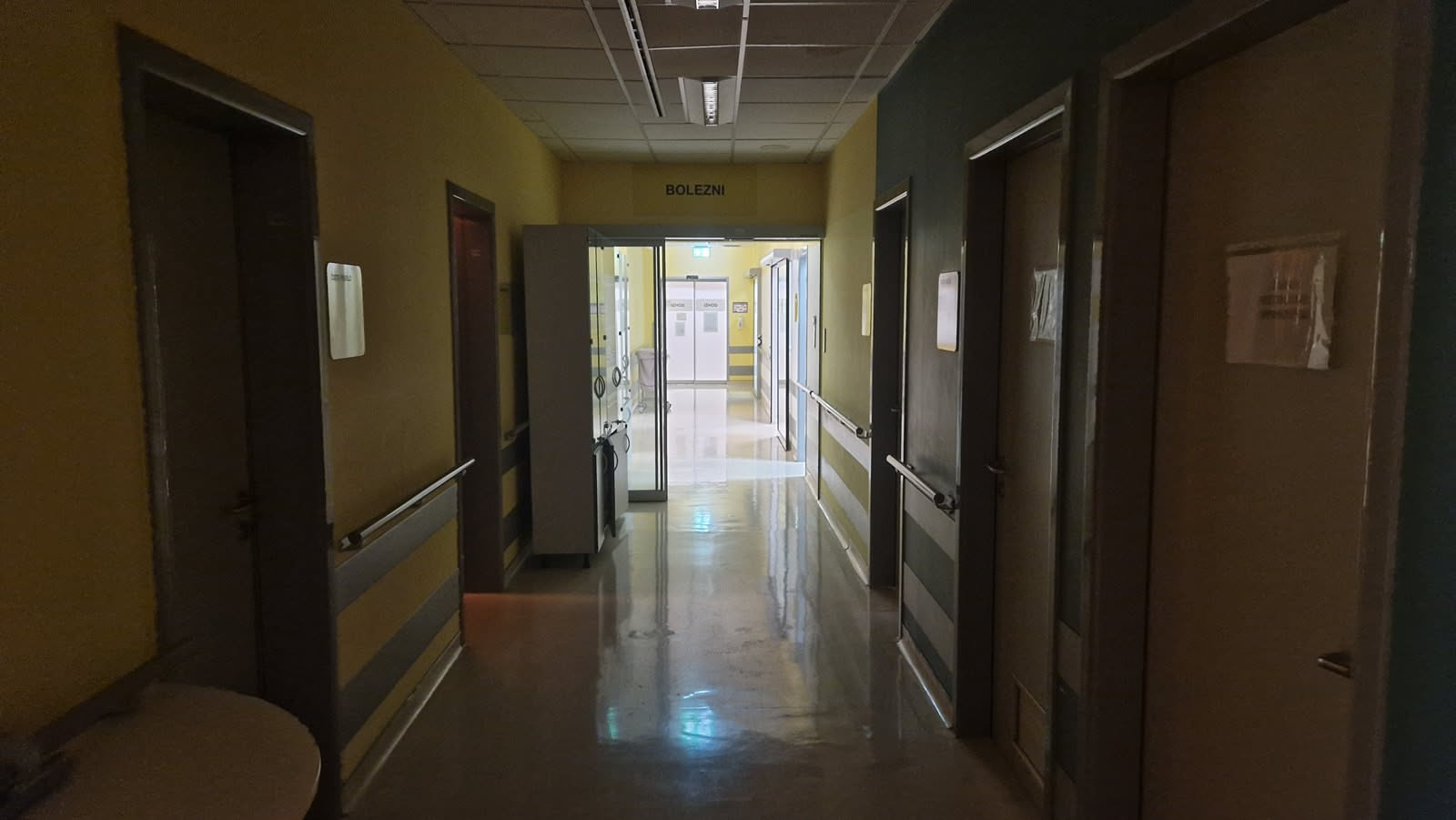 WHO: Prihaja epidemija raka, zbolel bo vsak peti človek