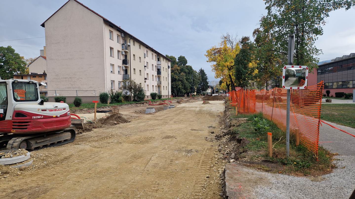 Ob prenovi Ljubljanske ulice bodo zasadili tudi nove javorje, maklene in ginke