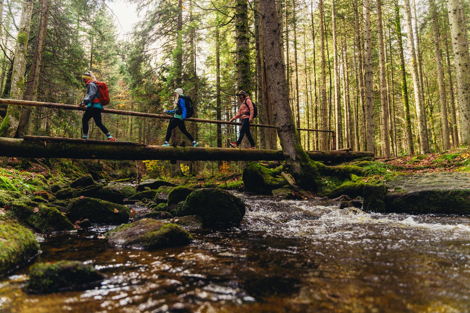 Novo pohodniško pot z izhodiščem v Mariboru BBC uvrstil med najbolj pričakovane na svetu