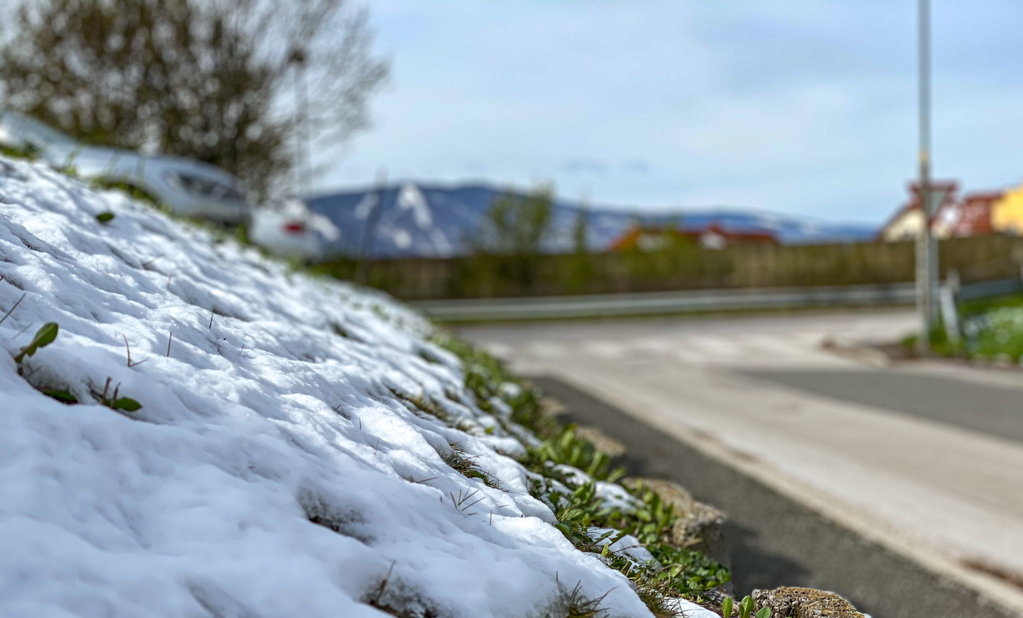 Rekordno nizke temperature za april, škoda bo ogromna