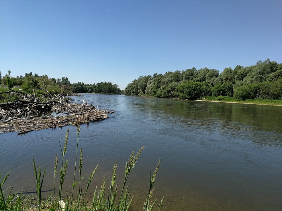 UNESCO razglasil biosferno območje Mura-Drava-Donava