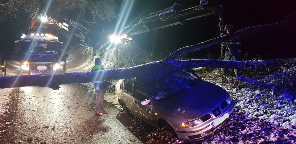 FOTO: Drevo se je podrlo na vozeči avtomobil