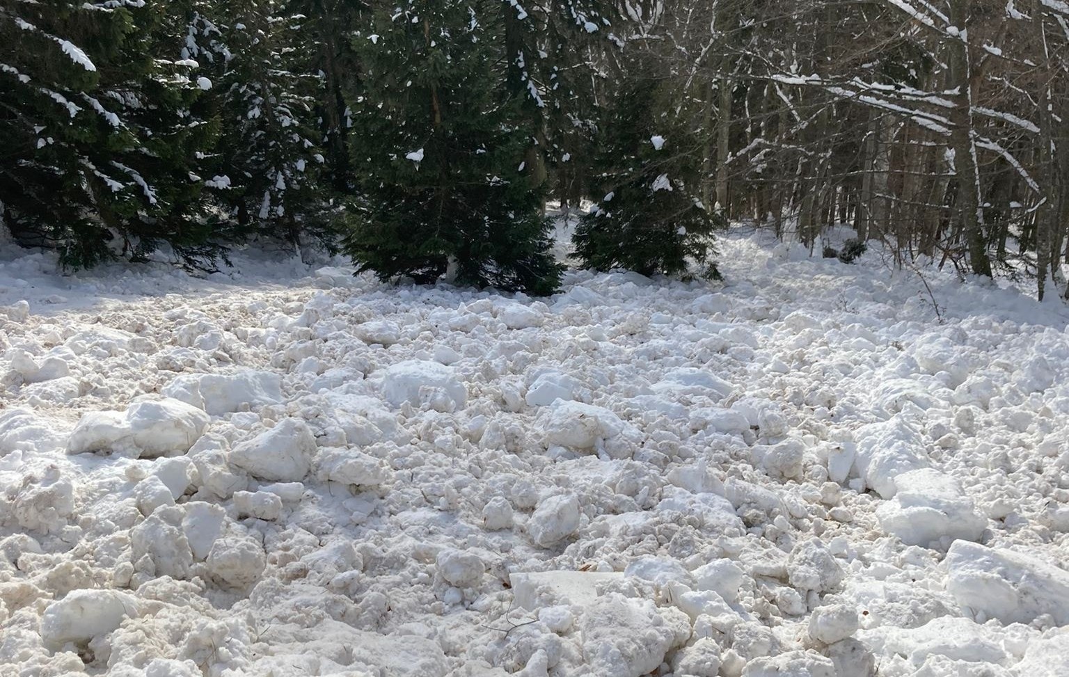 Plazovi v Alpah terjali deset življenj