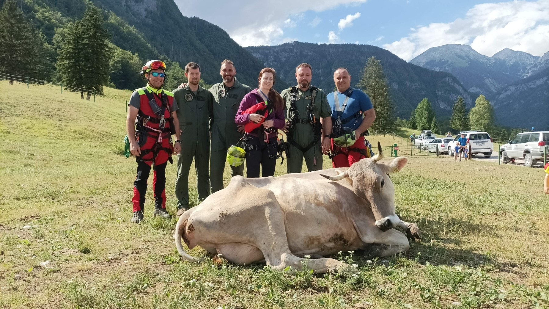 Poškodovano kravo rešili z vojaškim helikopterjem