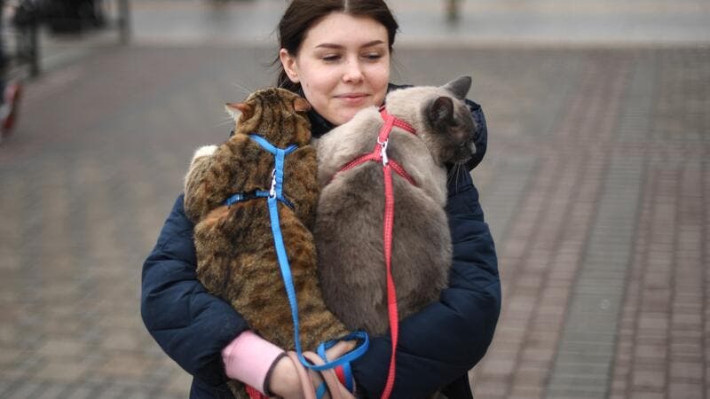 Slovenija bo sprejela tudi živali iz Ukrajine