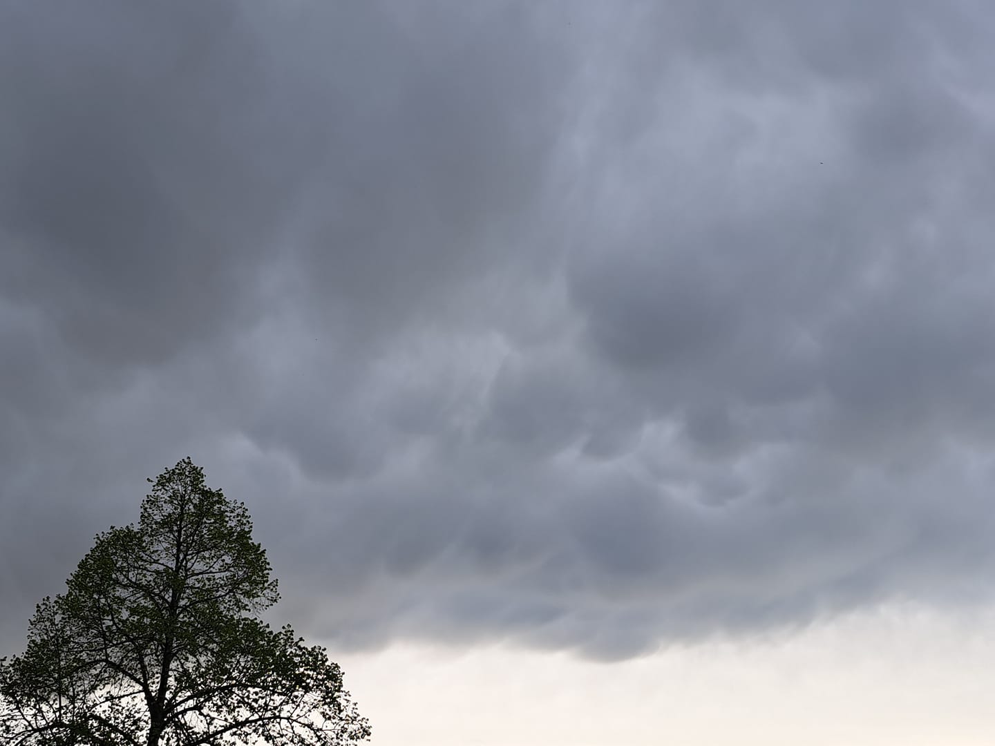 FOTO: Nebo nad Mariborom prekrili nevsakdanji oblaki, kaj nam prinašajo?