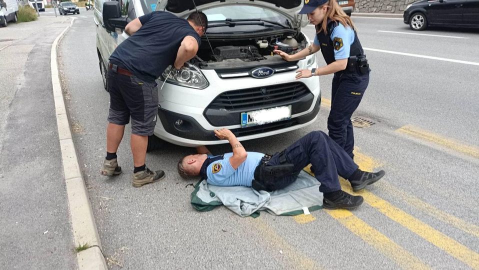 FOTO: Mariborski policisti iz avtomobila rešili muco