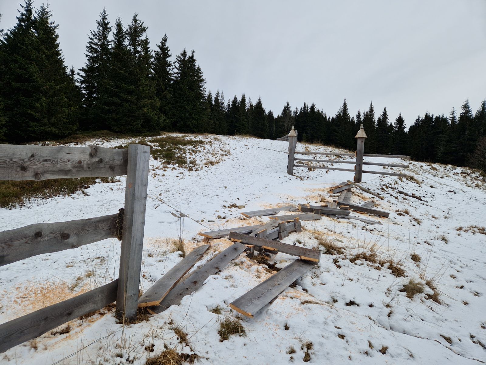FOTO: Na Pohorju vandali nad ograjo, ki ščiti ogrožene živalske vrste