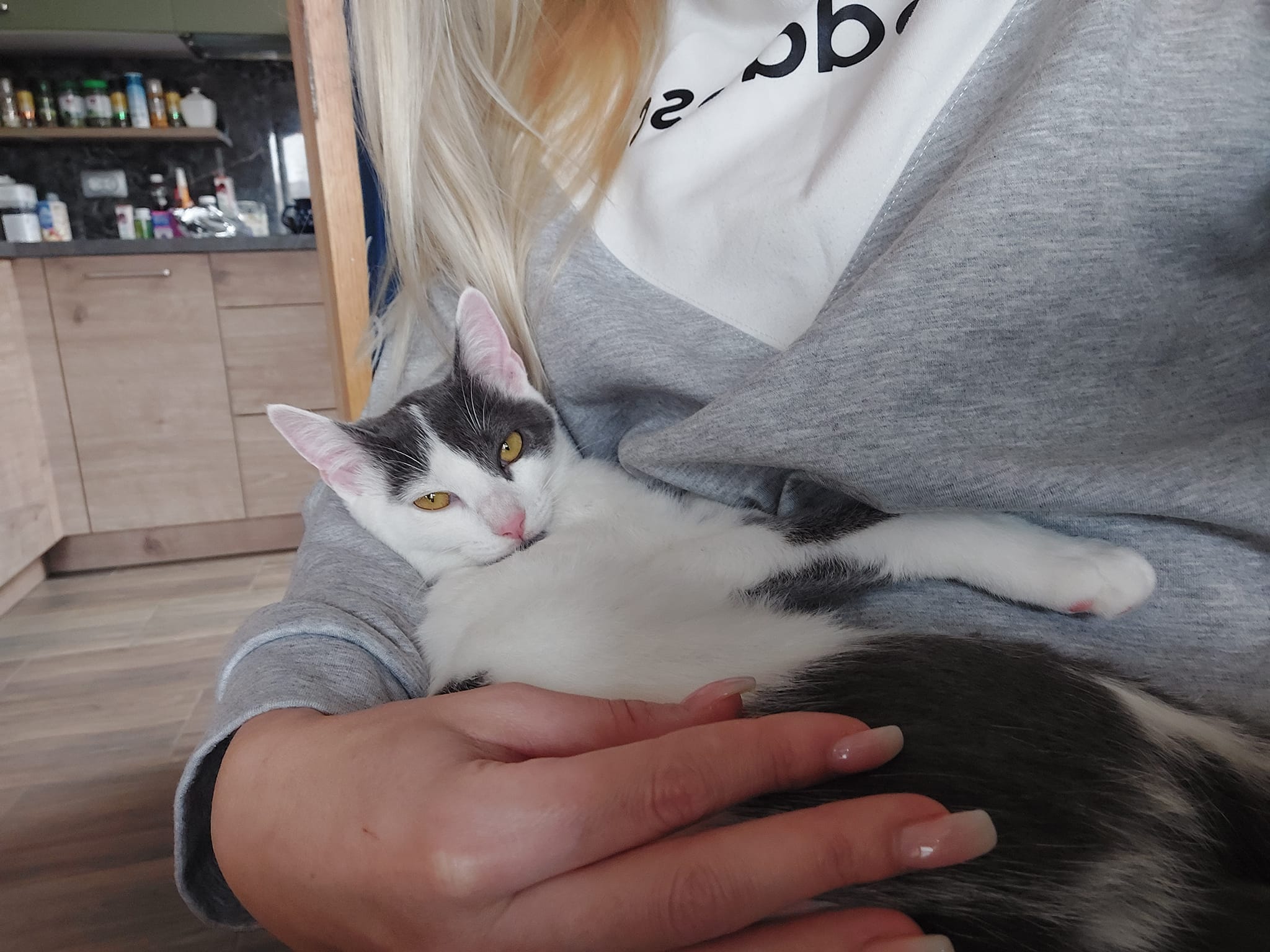 Ker niso obupali, se jim je zgodil božični čudež: Vrnila se je po več mesecih