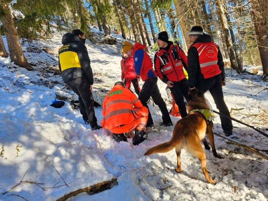 FOTO: 16-letnica na počitnicah šla na sprehod, vrnila se več ni