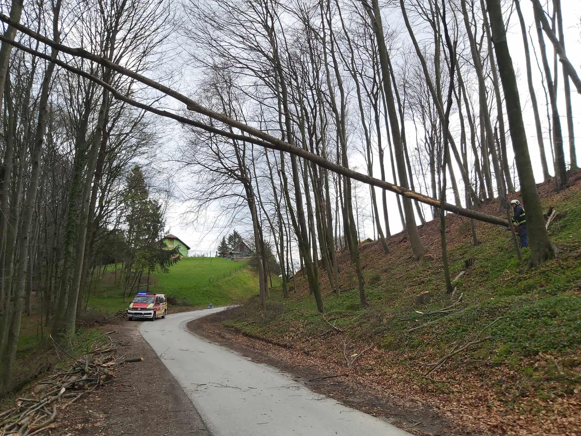 FOTO: Močan veter na Štajerskem povzročil številne nevšečnosti, drevesa padala tudi v Mariboru