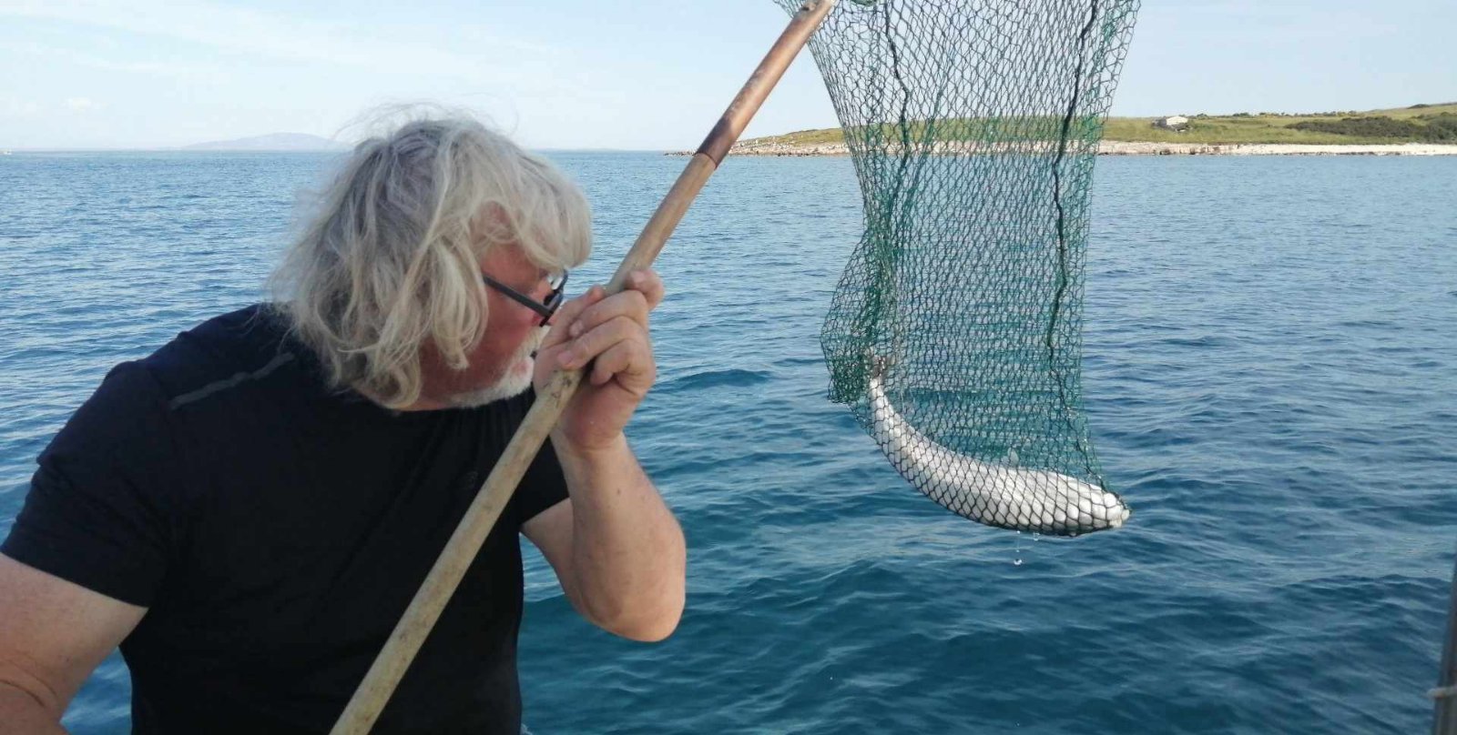 V hrvaški Istri slovenski ribič ujel izjemno strupeno ribo, za ljudi strup smrtonosen