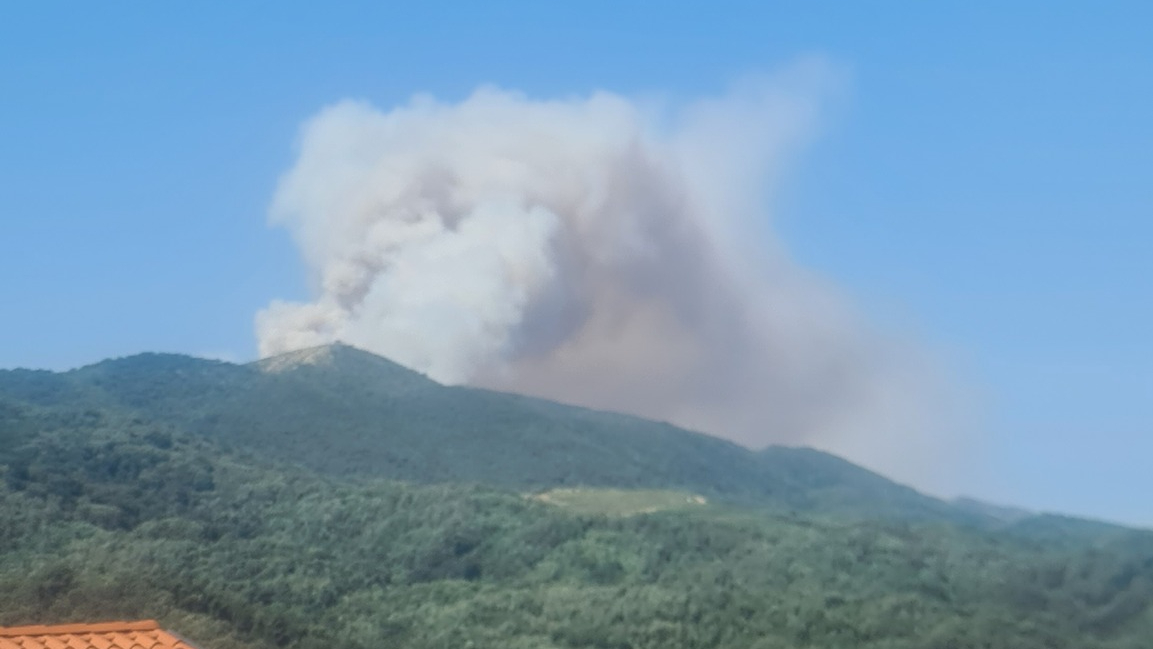 FOTO: Dve leti po usodnem požaru je na Krasu znova zagorelo, požar naj bi bil podtaknjen