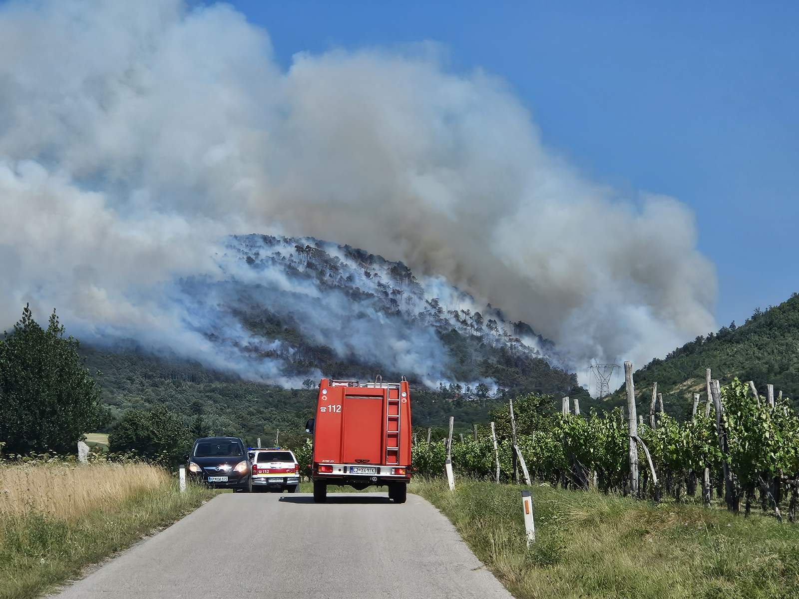 FOTO: Požar na Krasu še ni pod nadzorom, gasilci bodo tam ostali več dni