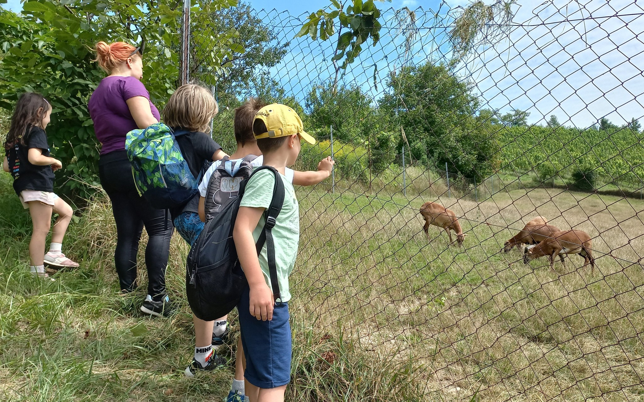 ZeePeeMov počitniški program: Osmi teden počitnic za otroke in mladino pripravljajo to