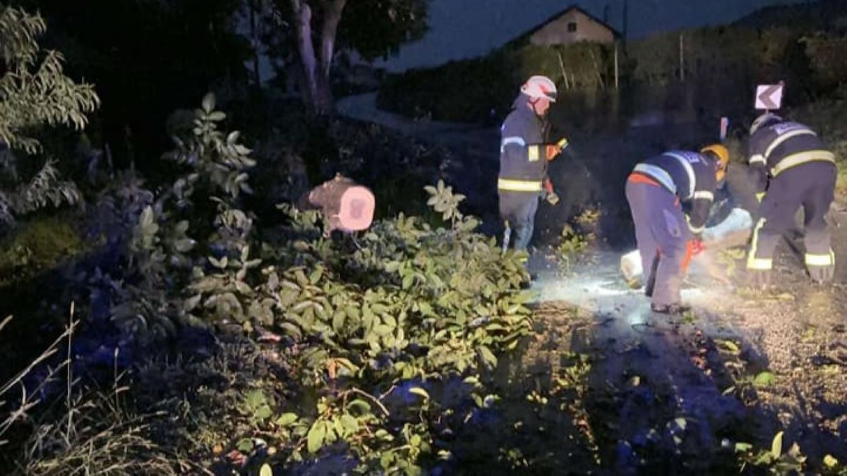 FOTO: Močan veter povzročal kaos po Sloveniji, ni še konec