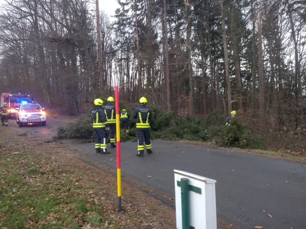 FOTO: Močan veter v okolici Maribora že povzroča težave, v Dupleku drevo padlo na cesto