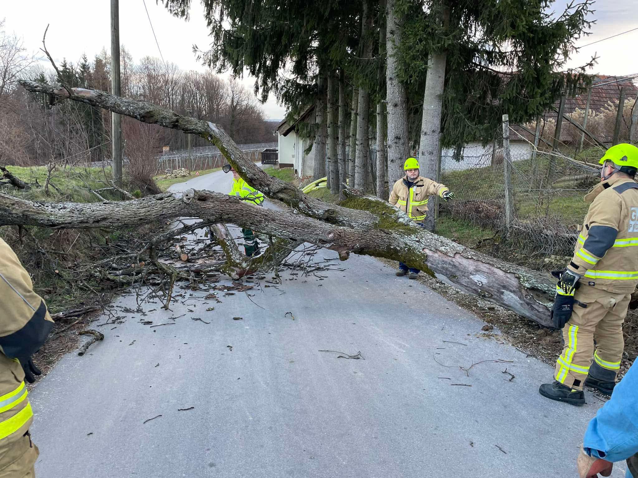 FOTO: Gasilci s polnimi rokami dela, takšne sunke vetra beležimo v naših krajih