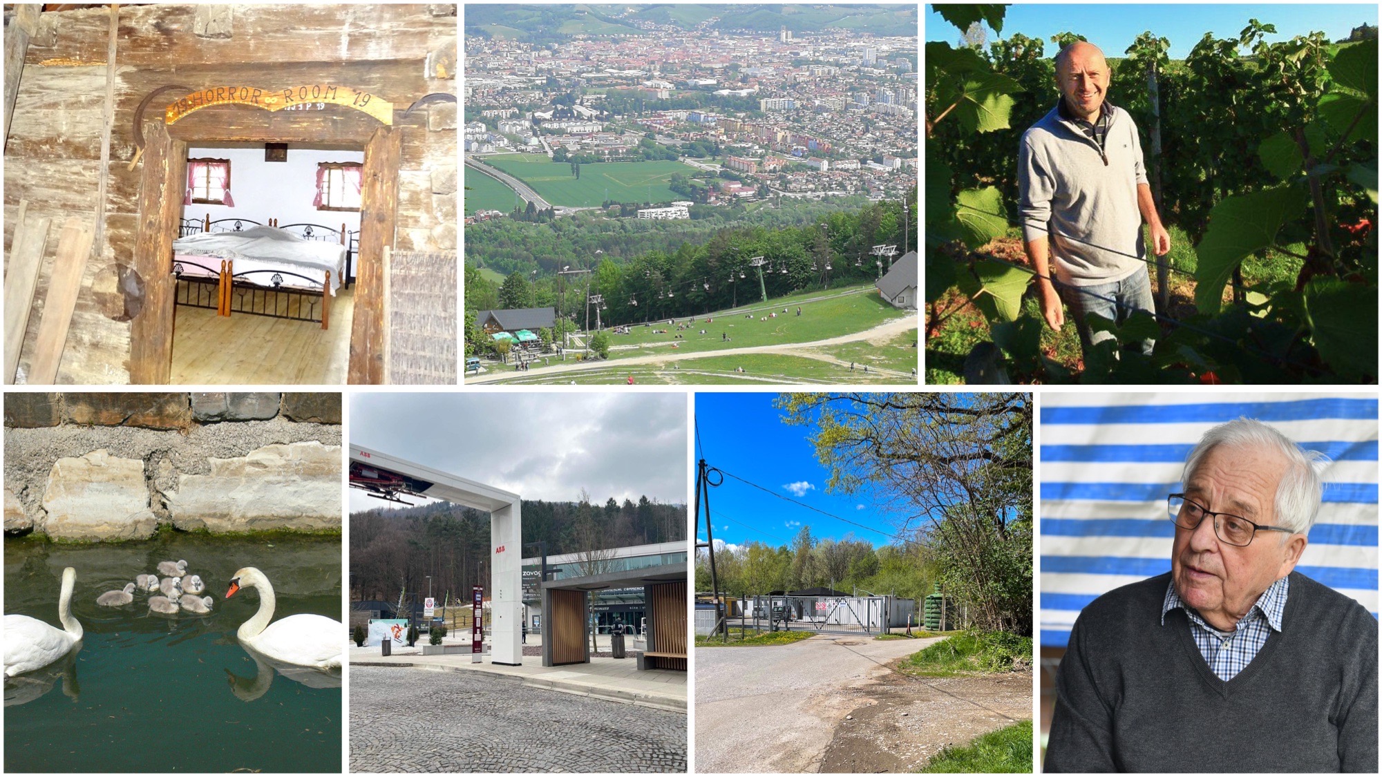 PREGLED TEDNA: Od povezovanja štajerskih vinarjev do doživetja v sobi groze