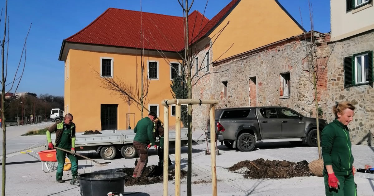 FOTO: Na mednarodni dan gozdov na Lentu posadili drevesa, v kratkem jih bo še več